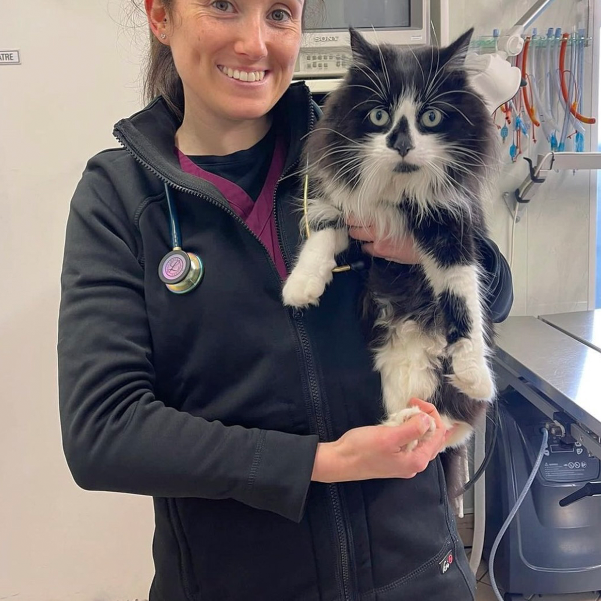 Chaquetas sanitarias: un imprescindible en tu armario para esta temporada