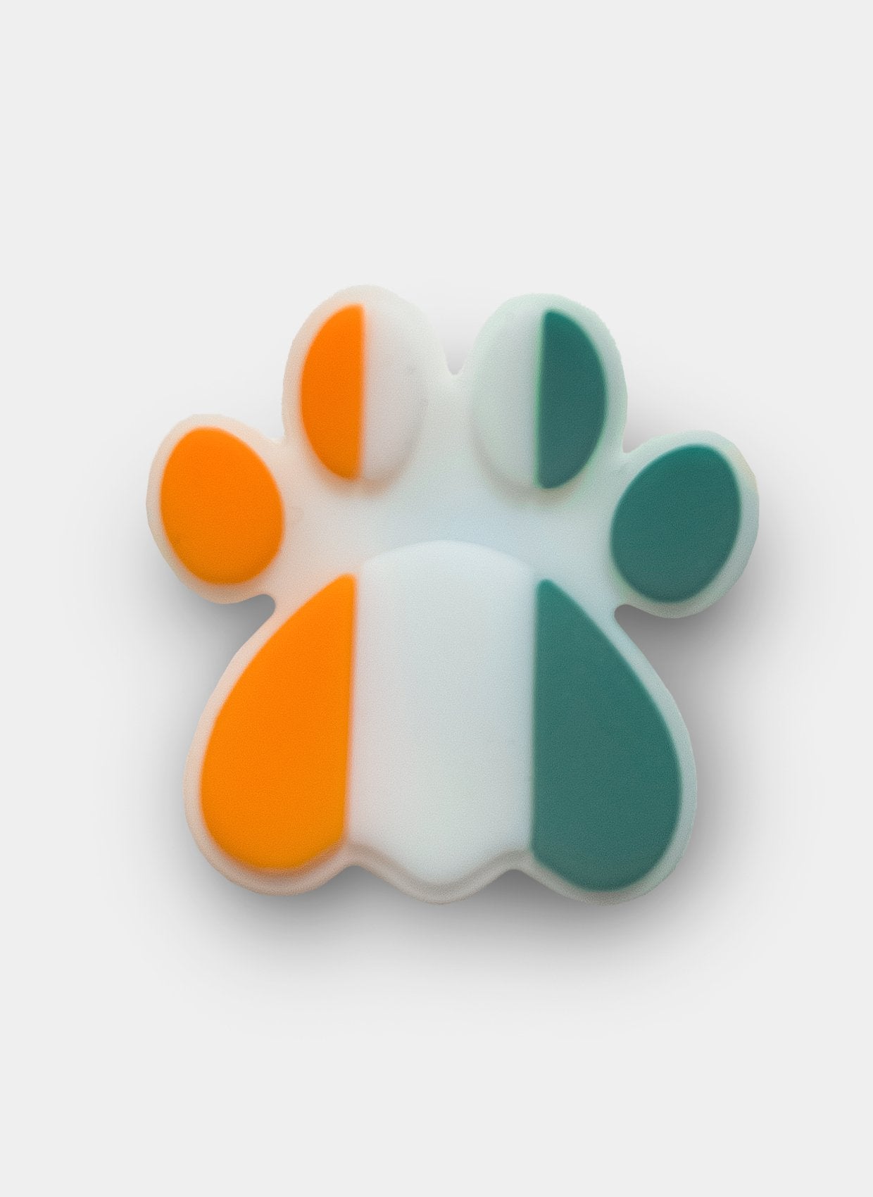 clog charm lucky little paw