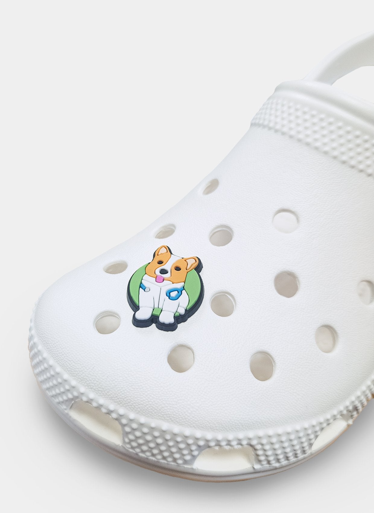 clog charm pawsitive care